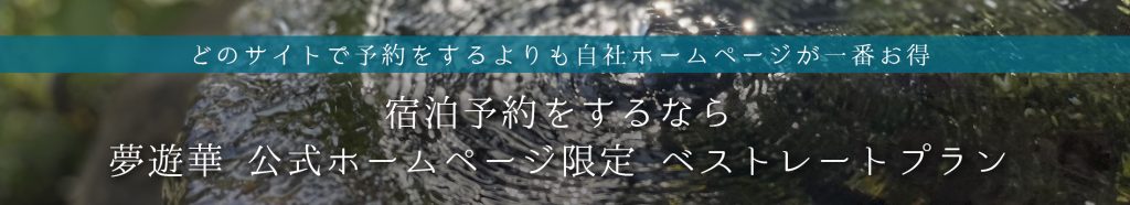 自社限定ベストレートプラン