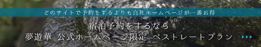 自社限定ベストレートプラン